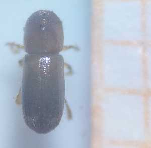  ( - RE21-AF1-SCO-0314)  @11 [ ] by-nc-sa (2023) Unspecified University of W&uuml;rzburg