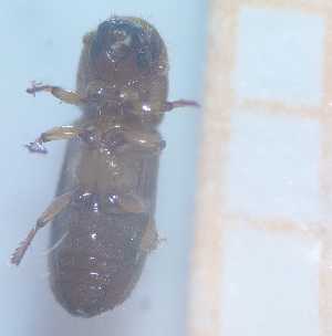  ( - RE21-AF1-SCO-0314)  @11 [ ] by-nc-sa (2023) Unspecified University of W&uuml;rzburg