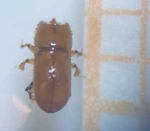  ( - RE21-AF1-SCO-0004)  @11 [ ] by-nc-sa (2023) Unspecified University of W&uuml;rzburg