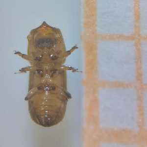  ( - RE21-AF1-SCO-0004)  @11 [ ] by-nc-sa (2023) Unspecified University of W&uuml;rzburg