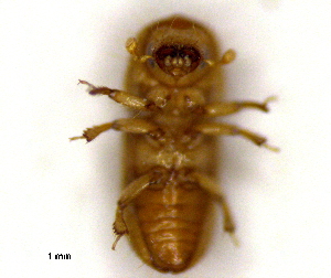  ( - RE21-AF1-SCO-0344)  @11 [ ] by-nc-sa (2023) Unspecified University of W&uuml;rzburg