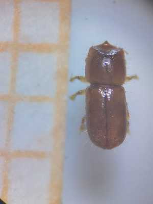  ( - RE21-AF1-SCO-0173)  @11 [ ] by-nc-sa (2023) Unspecified University of W&uuml;rzburg