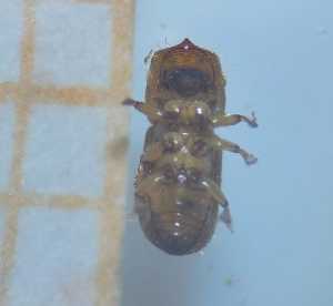  ( - RE21-AF1-SCO-0173)  @11 [ ] by-nc-sa (2023) Unspecified University of W&uuml;rzburg