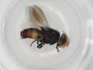  ( - BIOUG85147-A04)  @11 [ ] CreativeCommons - Attribution (2022) Centre for Biodiversity Genomics Centre for Biodiversity Genomics