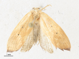  ( - CBG-A31819-D12)  @11 [ ] CreativeCommons - Attribution Share - Alike (2024) CBG Photography Group Centre for Biodiversity Genomics