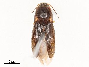  ( - CBG-A51940-B04)  @11 [ ] CreativeCommons - Attribution Share - Alike (2024) CBG Photography Group Centre for Biodiversity Genomics