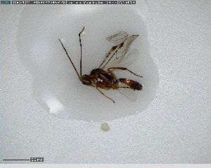  ( - VM-2013-BSL-0017)  @12 [ ] CreativeCommons - Attribution Non-Commercial Share-Alike (2015) Unspecified Natural Resource Canada