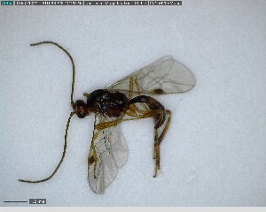  ( - VM-2014-BSL-0629)  @12 [ ] CreativeCommons - Attribution Non-Commercial Share-Alike (2015) Unspecified Natural Resource Canada