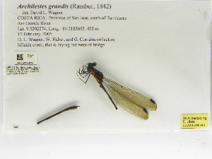  ( - INB0003684286)  @11 [ ] Copyright (2012) B. Haber Instituto Nacional de Biodiversidad