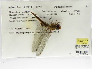  ( - INB0004315898)  @11 [ ] Copyright (2012) B. Haber Instituto Nacional de Biodiversidad