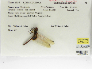  ( - INB0004315908)  @11 [ ] Copyright (2012) B. Haber Instituto Nacional de Biodiversidad