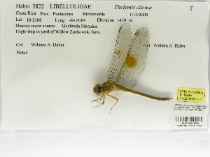 ( - INB0004315909)  @11 [ ] Copyright (2012) B. Haber Instituto Nacional de Biodiversidad