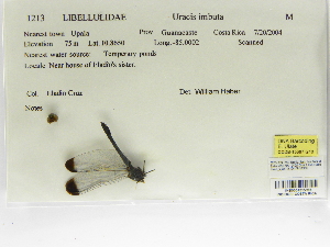  ( - INB0004315966)  @11 [ ] Copyright (2012) B. Haber Instituto Nacional de Biodiversidad