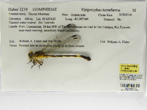  ( - INB0004316009)  @11 [ ] Copyright (2012) B. Haber Instituto Nacional de Biodiversidad