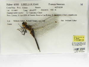  ( - INB0004316281)  @13 [ ] Copyright (2012) B. Haber Instituto Nacional de Biodiversidad