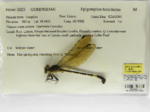  ( - INB0004316326)  @11 [ ] Copyright (2012) B. Haber Instituto Nacional de Biodiversidad