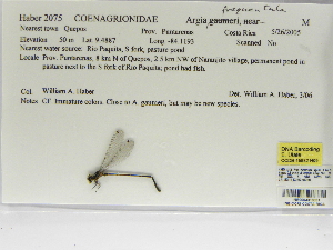  ( - INB0004316361)  @11 [ ] Copyright (2012) B. Haber Instituto Nacional de Biodiversidad