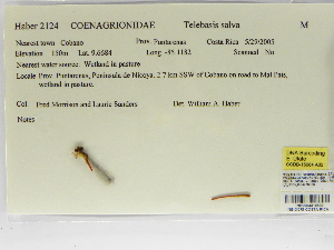  ( - INB0004316500)  @11 [ ] Copyright (2012) B. Haber Instituto Nacional de Biodiversidad