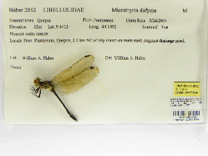  ( - INB0004316509)  @11 [ ] Copyright (2012) B. Haber Instituto Nacional de Biodiversidad