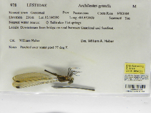  ( - INB0004316514)  @11 [ ] Copyright (2012) B. Haber Instituto Nacional de Biodiversidad