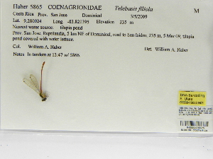  ( - INB0004316575)  @11 [ ] Copyright (2012) B. Haber Instituto Nacional de Biodiversidad
