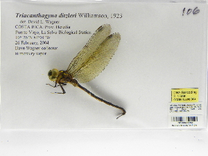  ( - INB0004318631)  @12 [ ] Copyright (2012) B. Haber Instituto Nacional de Biodiversidad