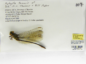  ( - INB0004318638)  @12 [ ] Copyright (2012) B. Haber Instituto Nacional de Biodiversidad