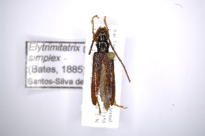  ( - INB0003412480)  @11 [ ] Copyright (2012) A. Solis Instituto Nacional de Biodiversidad