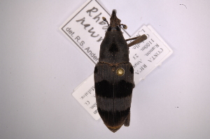  ( - INB0003831461)  @11 [ ] Copyright (2012) Angel Solis Instituto Nacional de Biodiversidad