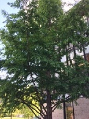  ( - JV_K14)  @11 [ ] Unspecified (default): All Rights Reserved  Unspecified Unspecified