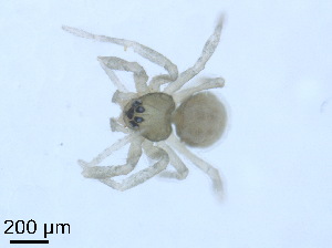  ( - BL-10540Y-B11)  @12 [ ] CreativeCommons - Attribution Non-Commercial Share-Alike (2016) Alex Smith University of Guelph