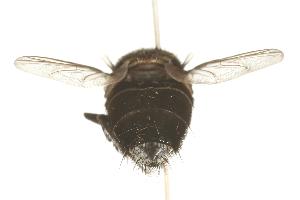  ( - DHJPAR0011364)  @13 [ ] Unspecified (default): All Rights Reserved  Unspecified Unspecified
