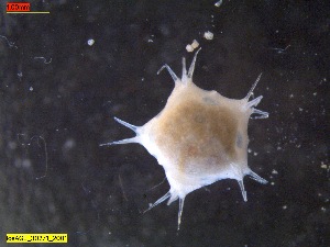  ( - IceAGE_30271_2)  @11 [ ] Unspecified (default): All Rights Reserved  Unspecified Unspecified