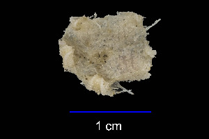  ( - JR15005_2744.7)  @11 [ ] Unspecified (default): All Rights Reserved  Unspecified Unspecified