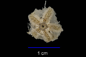  ( - JR15005_2744.7)  @11 [ ] Unspecified (default): All Rights Reserved  Unspecified Unspecified