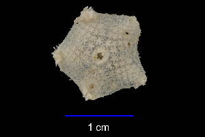  ( - JR15005_2744.9)  @11 [ ] Unspecified (default): All Rights Reserved  Unspecified Unspecified