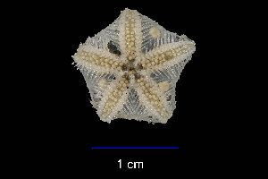  ( - JR15005_2744.9)  @11 [ ] Unspecified (default): All Rights Reserved  Unspecified Unspecified