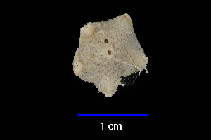  ( - JR15005_2744.13)  @11 [ ] Unspecified (default): All Rights Reserved  Unspecified Unspecified