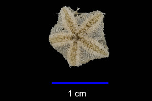  ( - JR15005_2744.13)  @11 [ ] Unspecified (default): All Rights Reserved  Unspecified Unspecified