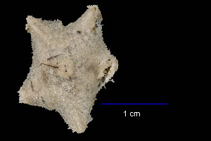  ( - JR15005_2130.7)  @11 [ ] Unspecified (default): All Rights Reserved  Unspecified Unspecified