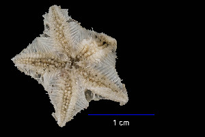  ( - JR15005_2130.7)  @11 [ ] Unspecified (default): All Rights Reserved  Unspecified Unspecified