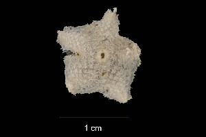  ( - JR15005_2130.9)  @11 [ ] Unspecified (default): All Rights Reserved  Unspecified Unspecified