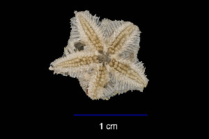  ( - JR15005_2130.9)  @11 [ ] Unspecified (default): All Rights Reserved  Unspecified Unspecified