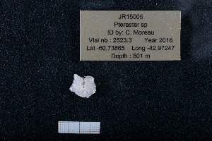  ( - JR15005_2523.3)  @11 [ ] Unspecified (default): All Rights Reserved  Unspecified Unspecified