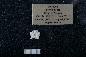  ( - JR15005_2523.3)  @11 [ ] Unspecified (default): All Rights Reserved  Unspecified Unspecified