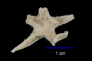  ( - JR230_346.3)  @11 [ ] Unspecified (default): All Rights Reserved  Unspecified Unspecified