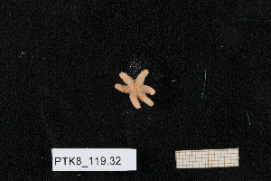  ( - PTK8_119.32)  @11 [ ] Unspecified (default): All Rights Reserved  Unspecified Unspecified