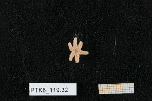  ( - PTK8_119.32)  @11 [ ] Unspecified (default): All Rights Reserved  Unspecified Unspecified