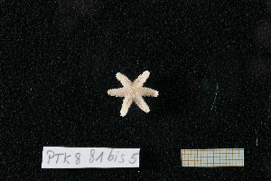  ( - PTK8_81.5bis)  @11 [ ] Unspecified (default): All Rights Reserved  Unspecified Unspecified