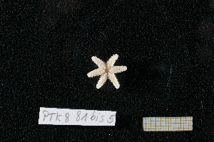  ( - PTK8_81.5bis)  @11 [ ] Unspecified (default): All Rights Reserved  Unspecified Unspecified